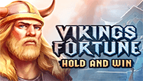 Vikings Fortune